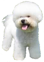 wpd33e807a.png